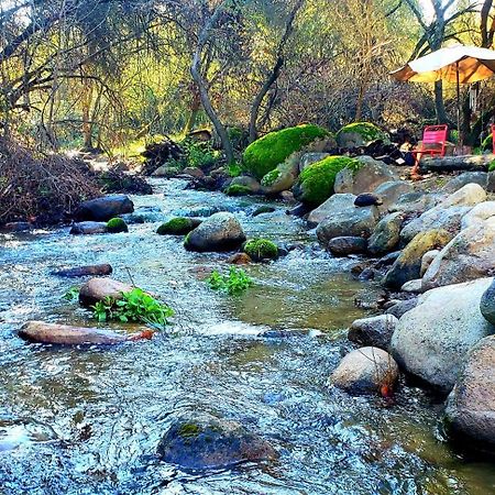 Magical River House ! 10 Min To Snp Park Entrance Three Rivers Extérieur photo